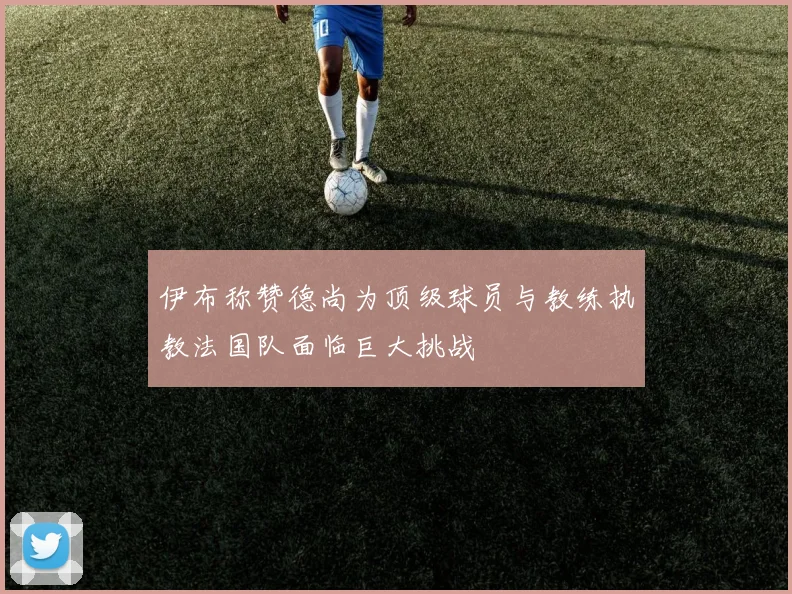 伊布称赞德尚为顶级球员与教练执教法国队面临巨大挑战